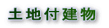 �y�n�t����